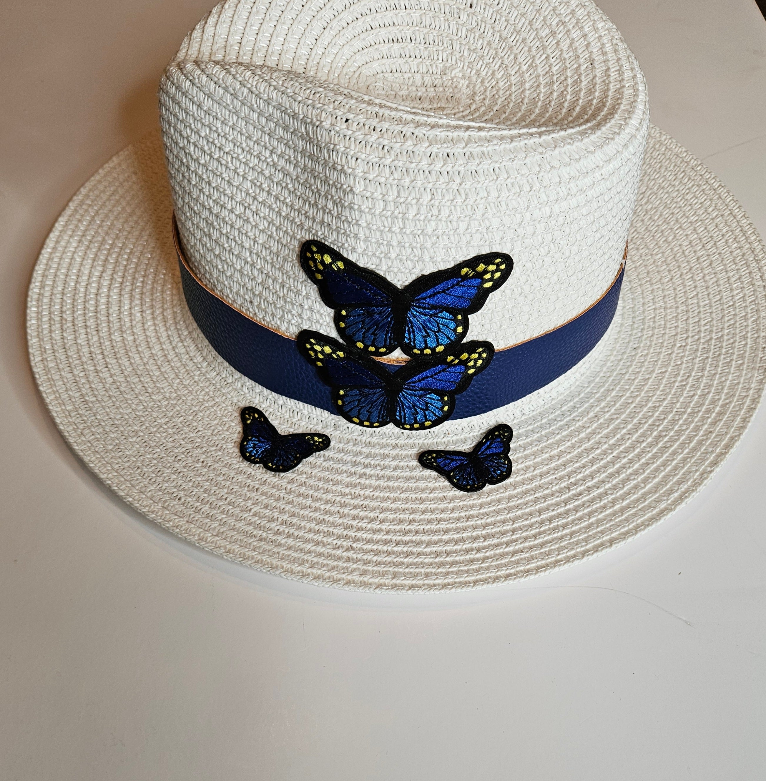 Fedora Straw butterfly collection