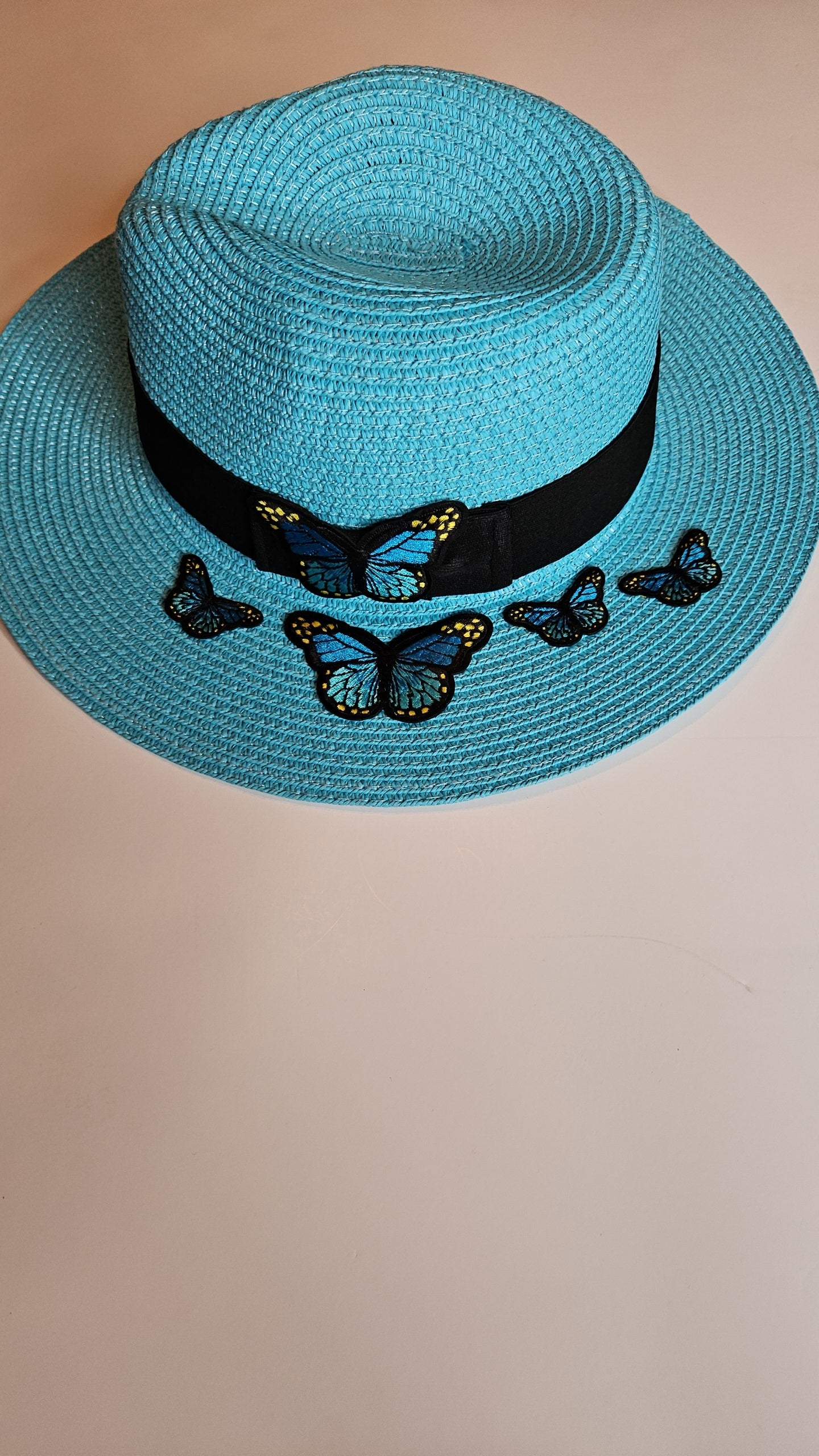 Fedora Straw butterfly collection